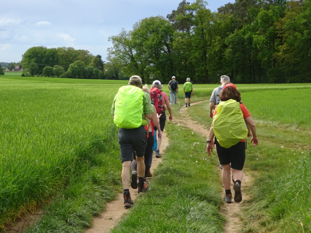 Gruppe von Wanderern auf einem Feldweg unterwegs