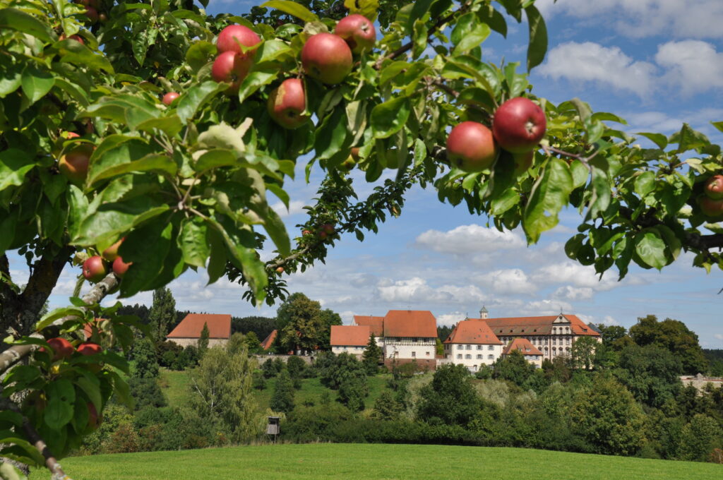 Apfelbaum mit Blick auf Burg und Landschaft