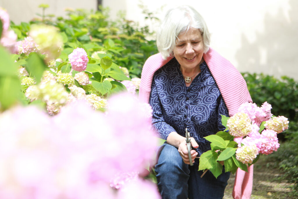 Eine ältere Frau mit grauem Haar, die ein blau gemustertes Hemd und einen rosafarbenen Pullover trägt, lächelt, während sie in einem Garten rosa Hortensien pflegt.