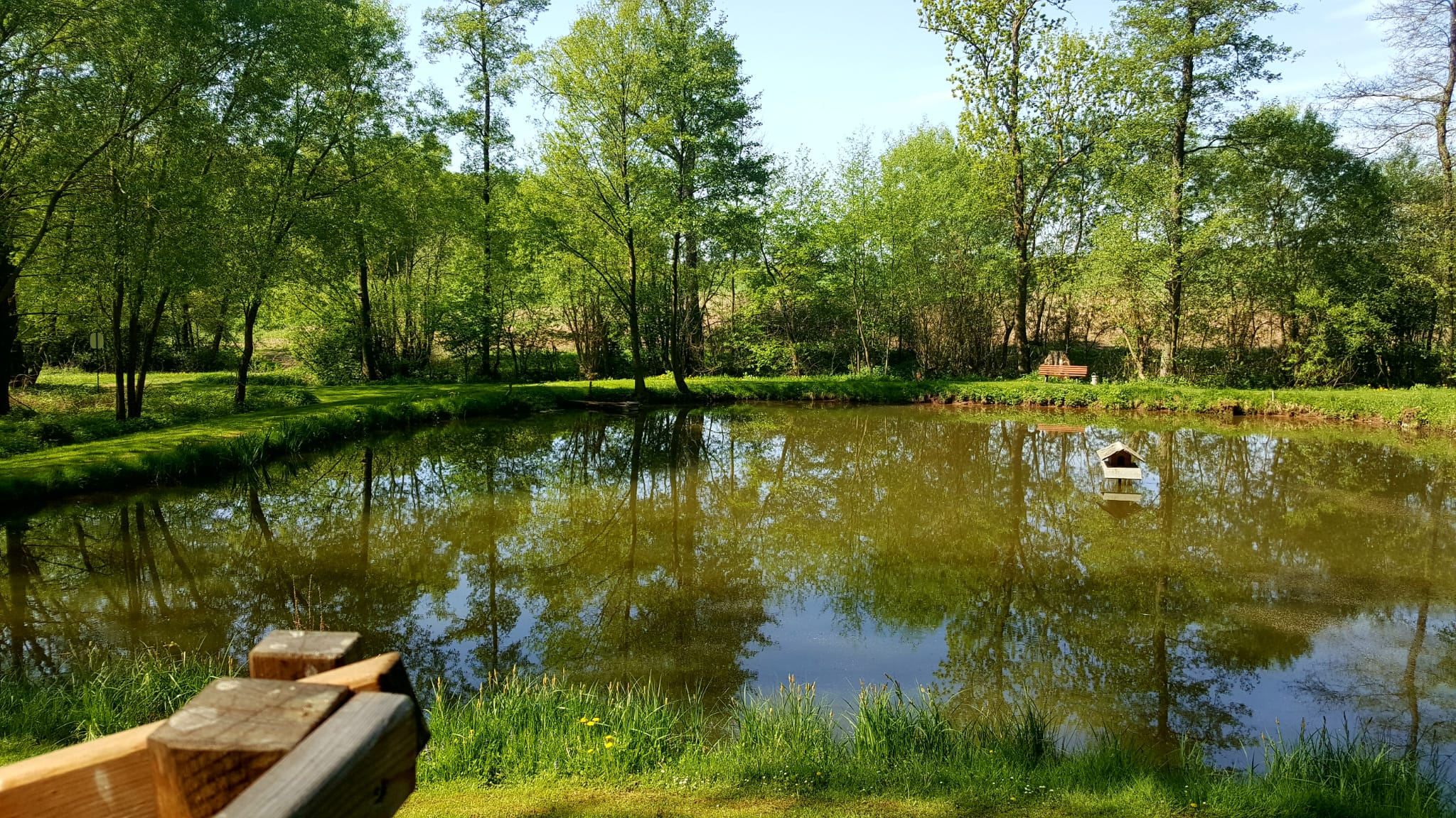 Ein kleiner Teich, umgeben von grünen Bäumen, mit einem Holzgeländer im Vordergrund und einem winzigen, hausähnlichen Bauwerk, das auf dem Wasser schwimmt.